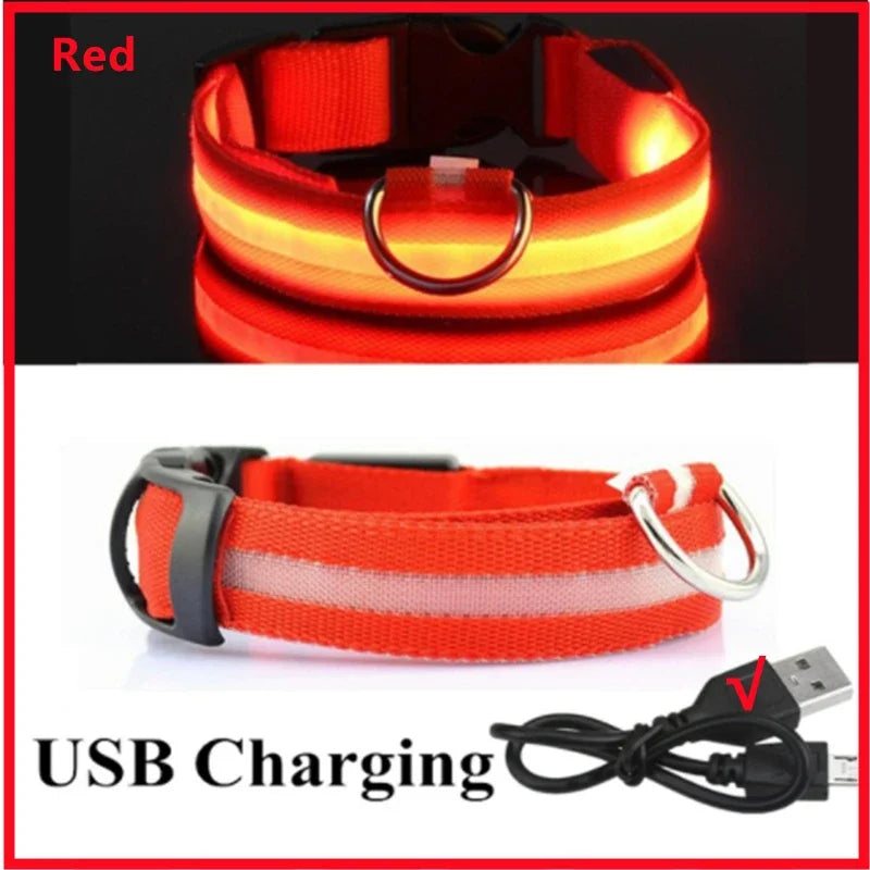 LED Dog Collar with USB Charging – Adjustable Luminous Safety Collar for Night Visibility