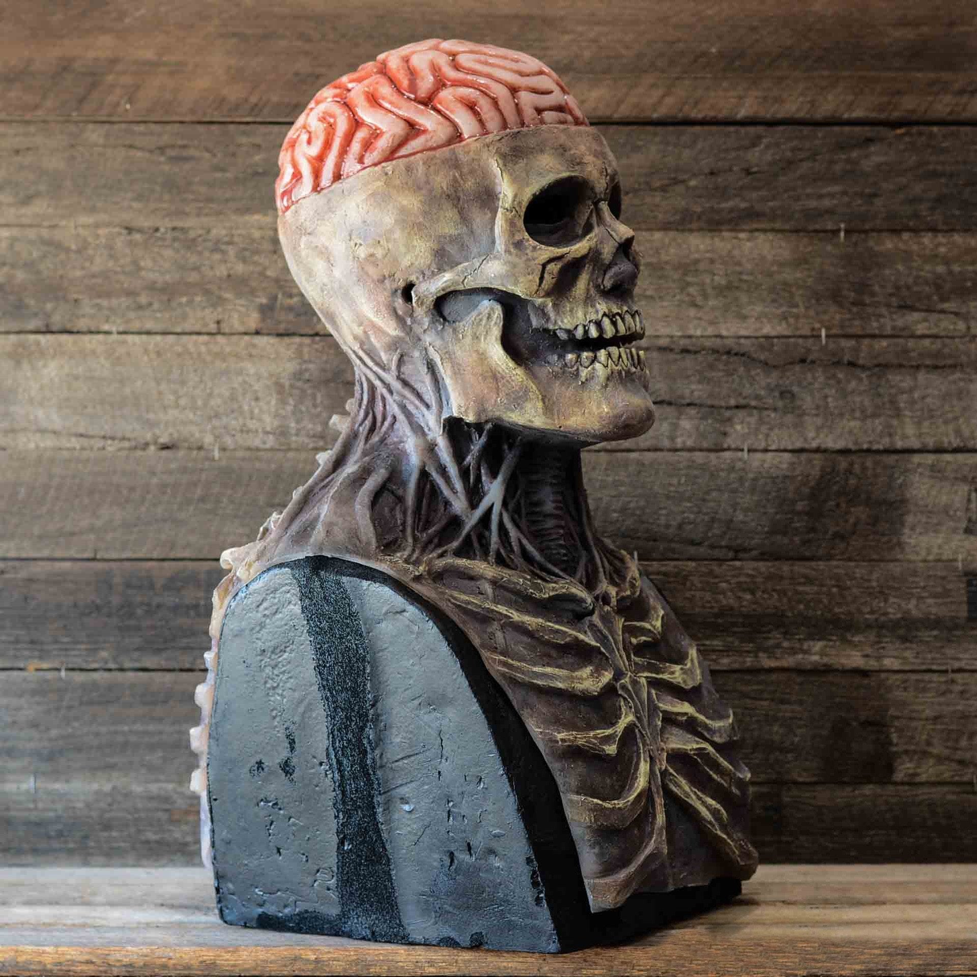 Masque de squelette réaliste à mâchoire mobile avec chapeau – Accessoire complet pour Halloween et cosplay