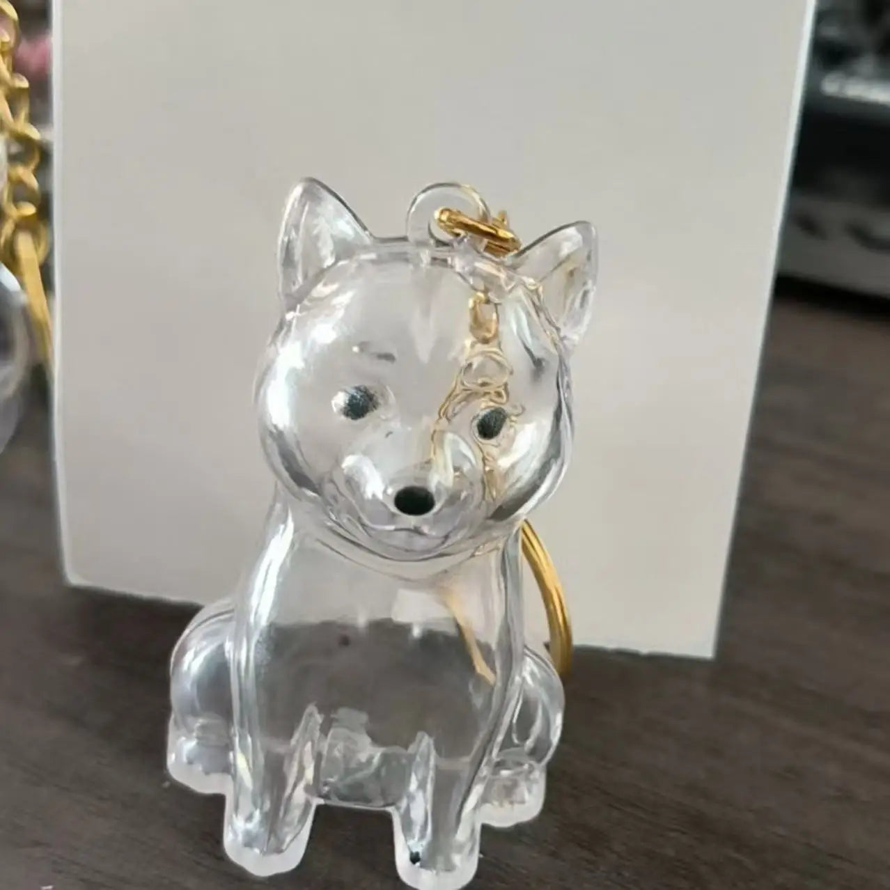 Pendentif en Résine Transparent avec Poils de Chien – Porte-clés et Charme de Sac Élégant et Compact