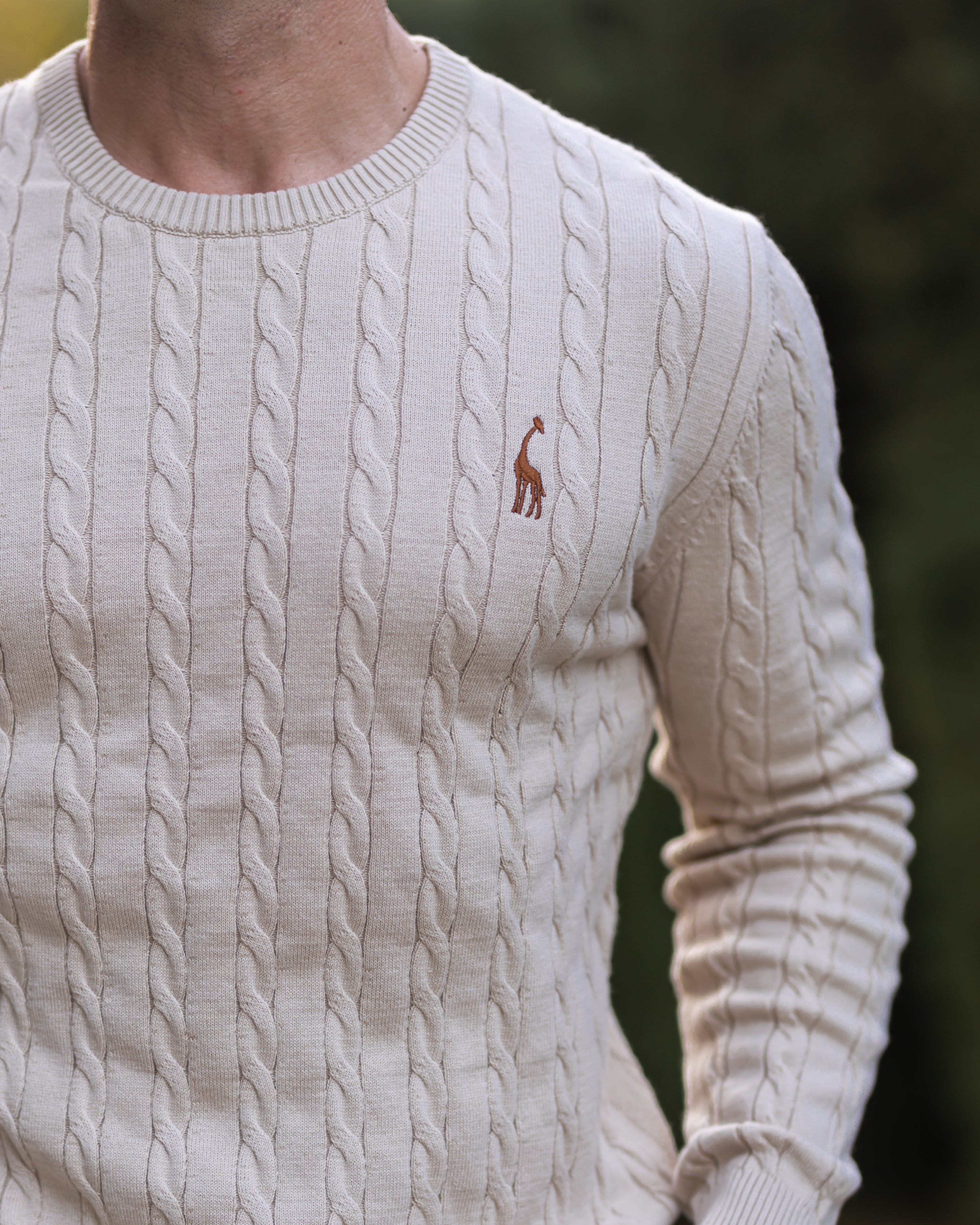 Pull en Coton Torsadé pour Hommes - Col Rond, Confort et Élégance