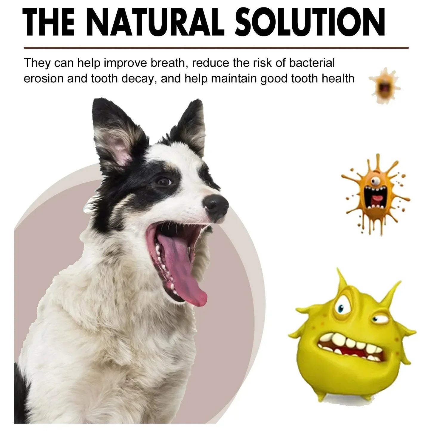 Natural Dental Spray for Animals - Deodorizer and Oral Cleaning for Dogs and Cats - 30 ml