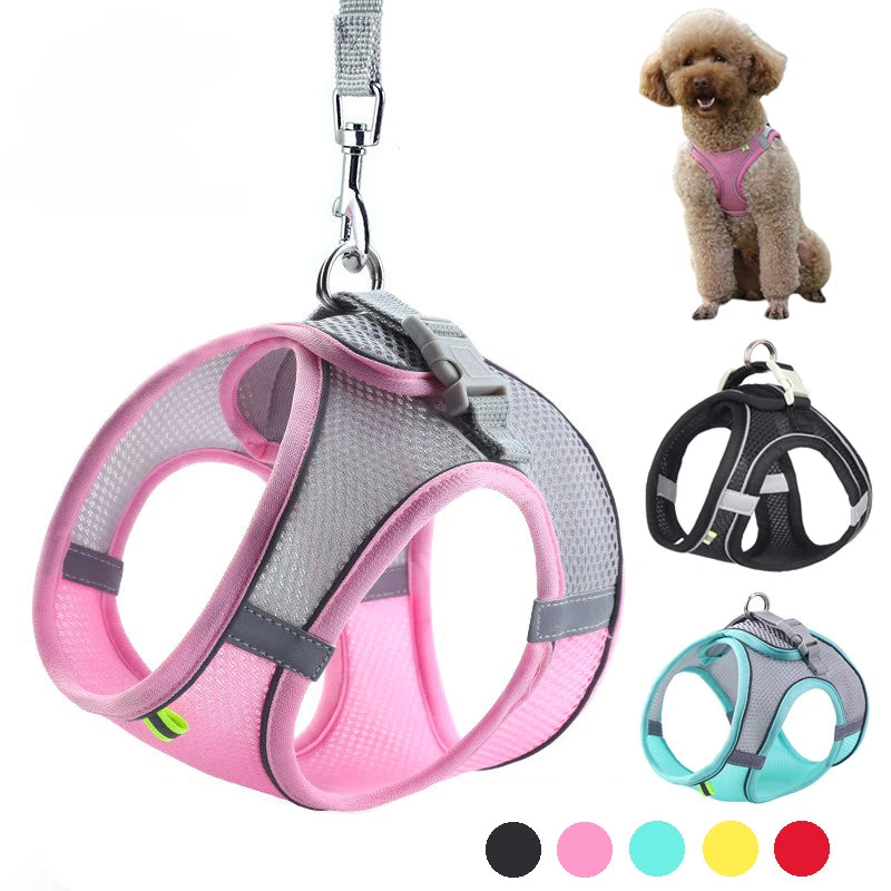 Adjustable Dog Harness and Leash Set for Small Breeds – Soft, Reflective Vest for Puppies and Cats