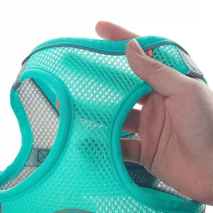 Adjustable Dog Harness and Leash Set for Small Breeds – Soft, Reflective Vest for Puppies and Cats