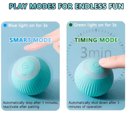 Intelligent Rolling Toy for Dogs and Cats – Rechargeable, Silent, Simulates Mouse Movement, Bite-Resistant