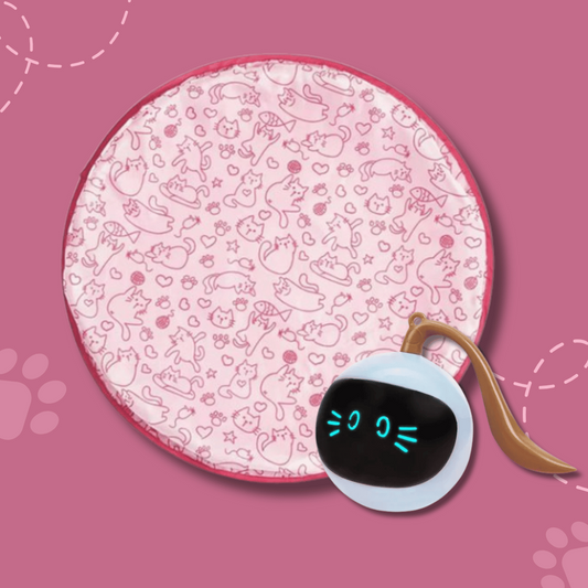 Interactive Toy for Cat with USB-C Rechargeable Ball – Feline Fun and Exercise