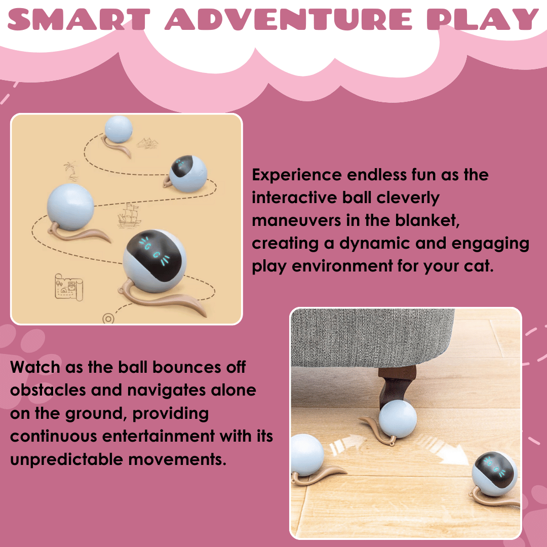 Interactive Toy for Cat with USB-C Rechargeable Ball – Feline Fun and Exercise