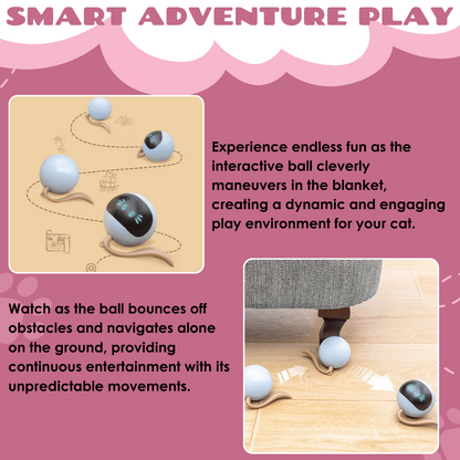Interactive Toy for Cat with USB-C Rechargeable Ball – Feline Fun and Exercise