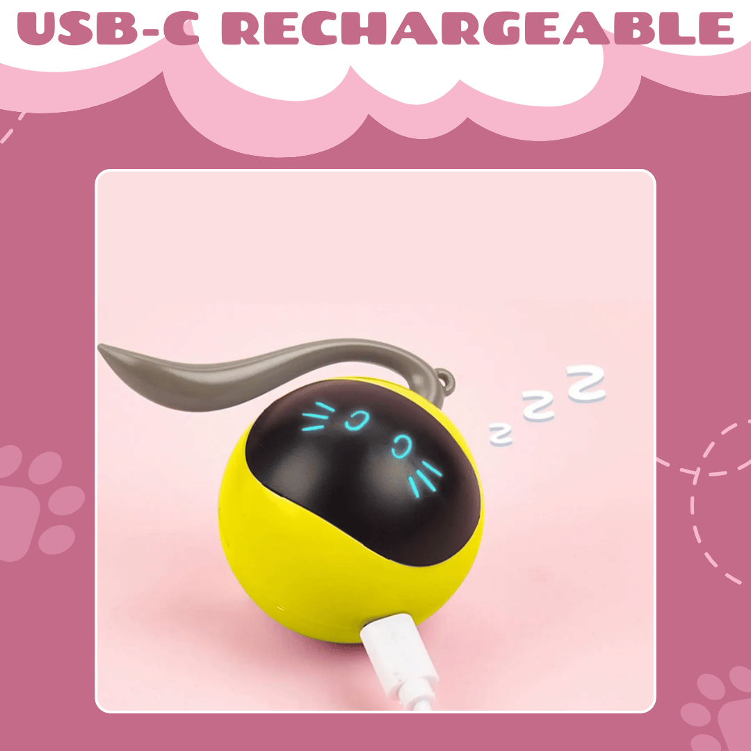 Interactive Toy for Cat with USB-C Rechargeable Ball – Feline Fun and Exercise