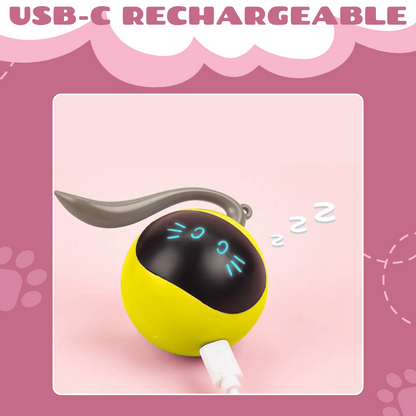 Interactive Toy for Cat with USB-C Rechargeable Ball – Feline Fun and Exercise