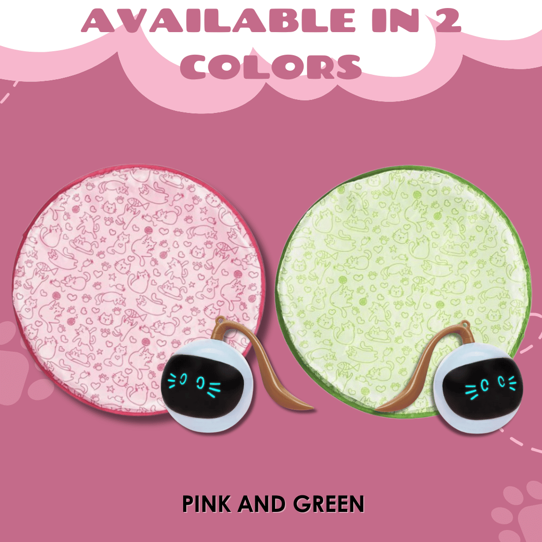 Interactive Toy for Cat with USB-C Rechargeable Ball – Feline Fun and Exercise