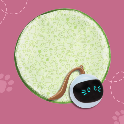 Interactive Toy for Cat with USB-C Rechargeable Ball – Feline Fun and Exercise