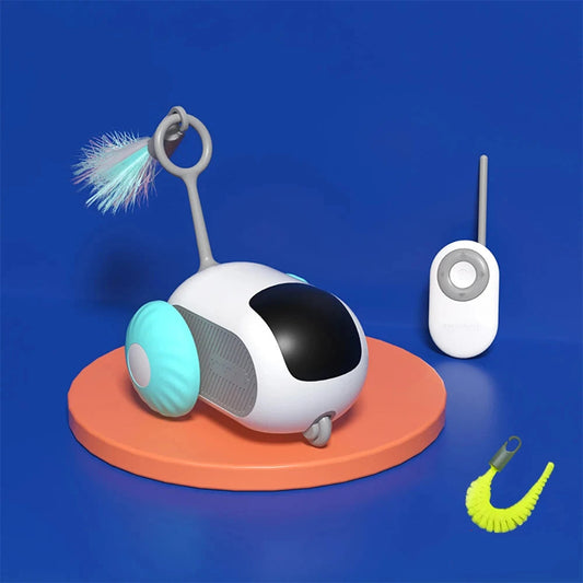 Jouet interactif pour chats et chiens avec voiture télécommandée à 2 modes