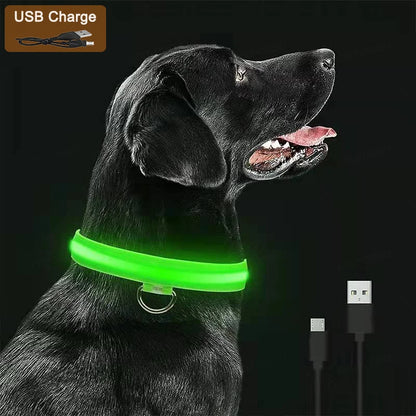 LED Dog Collar with USB Charging – Adjustable Luminous Safety Collar for Night Visibility