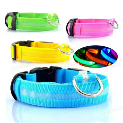 LED Dog Collar with USB Charging – Adjustable Luminous Safety Collar for Night Visibility