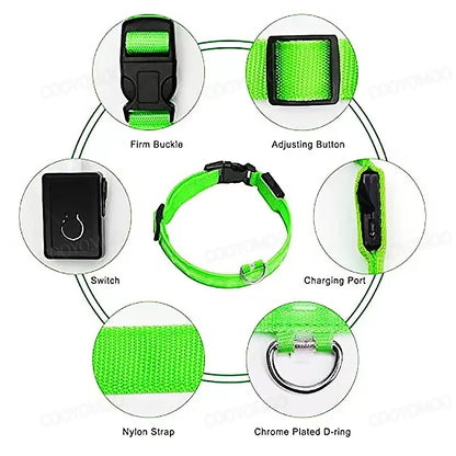 LED Dog Collar with USB Charging – Adjustable Luminous Safety Collar for Night Visibility