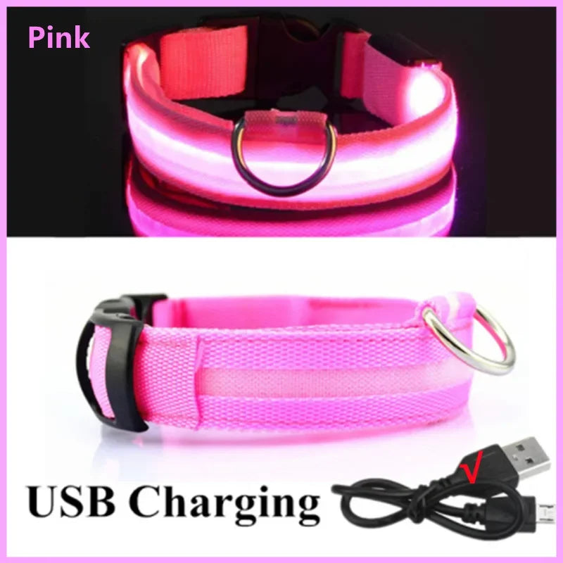 LED Dog Collar with USB Charging – Adjustable Luminous Safety Collar for Night Visibility