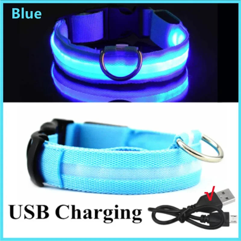 LED Dog Collar with USB Charging – Adjustable Luminous Safety Collar for Night Visibility