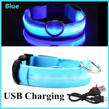 LED Dog Collar with USB Charging – Adjustable Luminous Safety Collar for Night Visibility