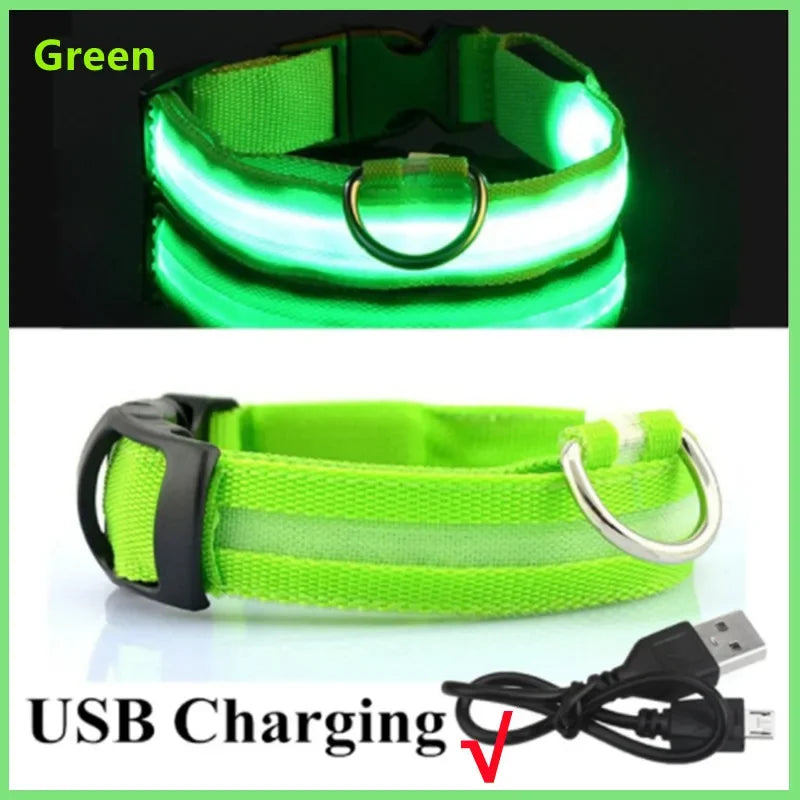 LED Dog Collar with USB Charging – Adjustable Luminous Safety Collar for Night Visibility