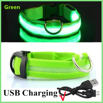 LED Dog Collar with USB Charging – Adjustable Luminous Safety Collar for Night Visibility
