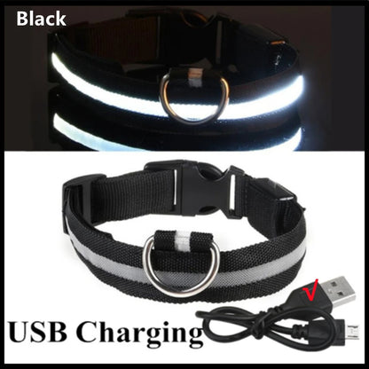 LED Dog Collar with USB Charging – Adjustable Luminous Safety Collar for Night Visibility
