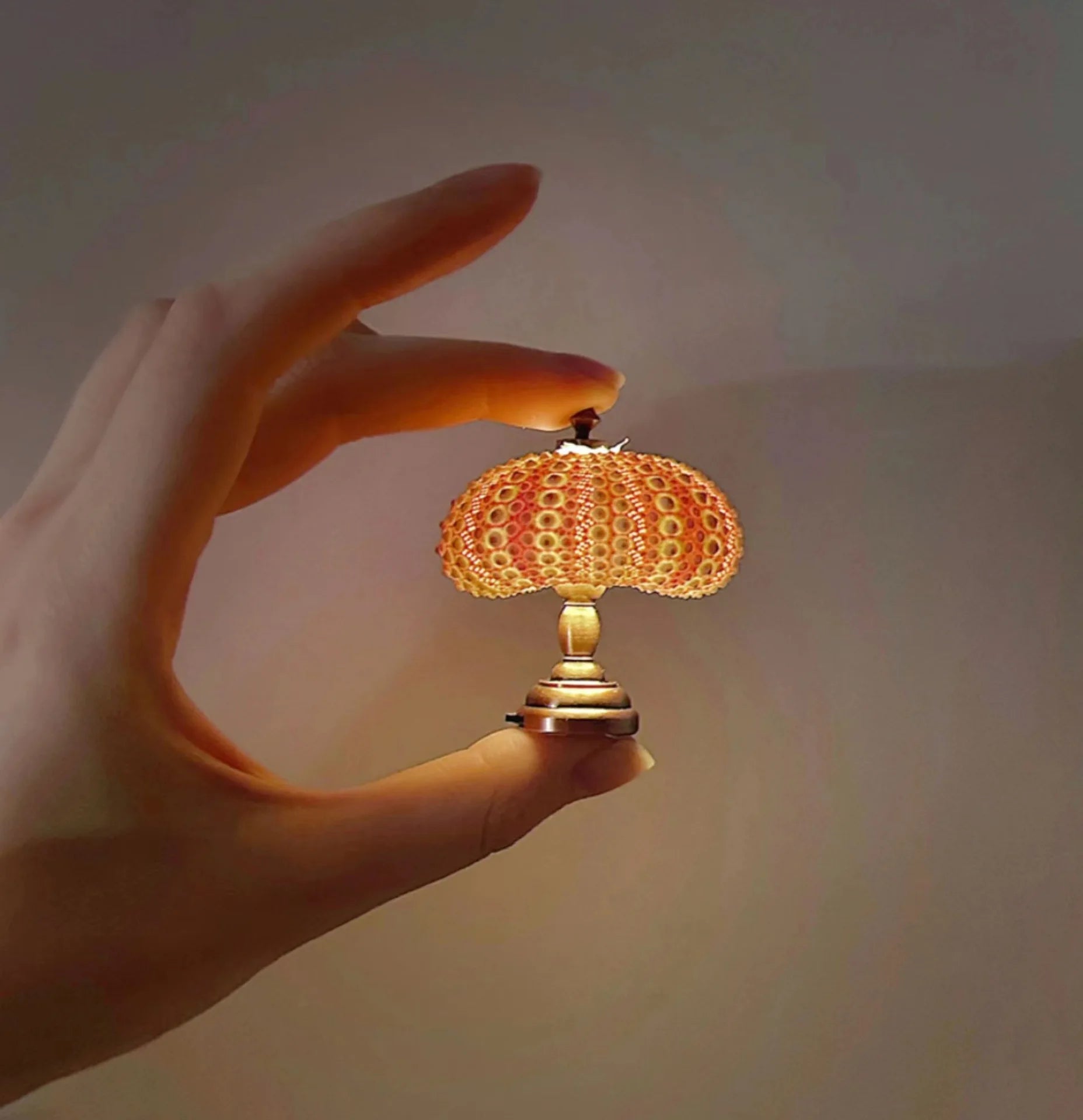 Lampe de Chevet LED Oursin de Mer pour Enfants – Lampe de Nuit Décorative avec Lumière Douce et Chaleureuse, Idéale pour Chambre de Fille