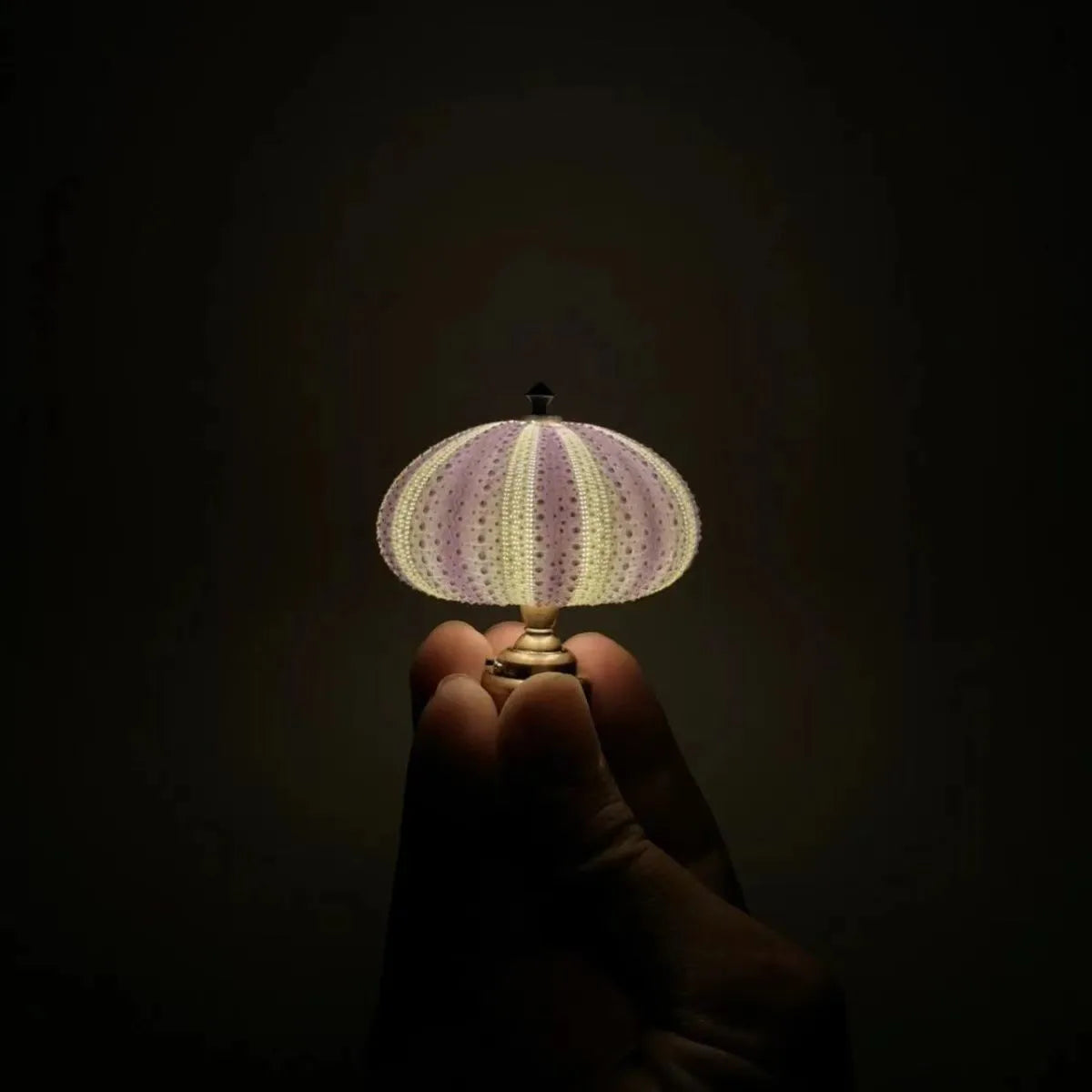Lampe de Chevet LED Oursin de Mer pour Enfants – Lampe de Nuit Décorative avec Lumière Douce et Chaleureuse, Idéale pour Chambre de Fille