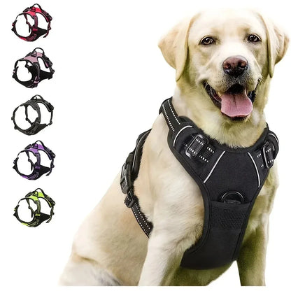 Leather Dog Collar and Harness Set with Leash – Medium and Small Sizes for Puppies