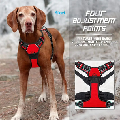 Leather Dog Collar and Harness Set with Leash – Medium and Small Sizes for Puppies
