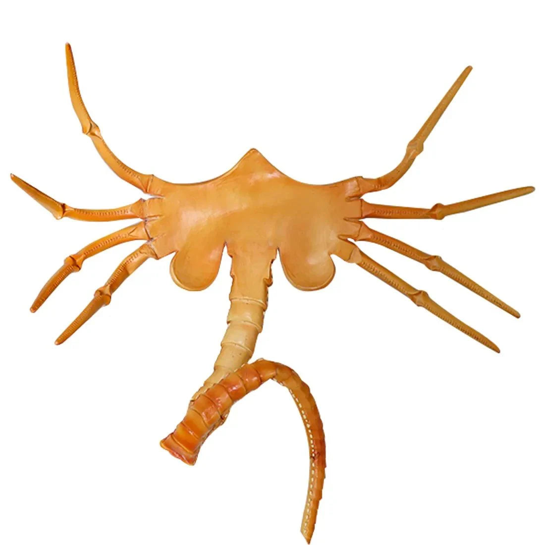 Masque Alien Insecte Réaliste à Moitié Visage en Latex Léger pour Halloween et Cosplay – Ajustement Confortable et Saisissant