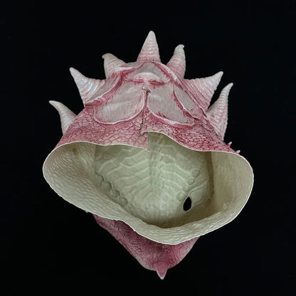 Latex Dragon Mask for Cosplay – Realistic Halloween 2025 Helmet with Textured Scales